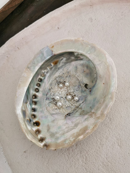 Ohrstecker Pearl