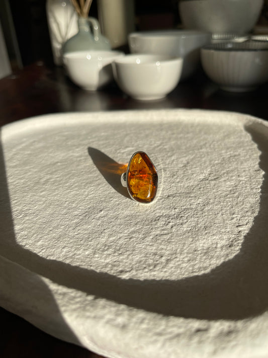 Bernstein - der Stein der Sonne