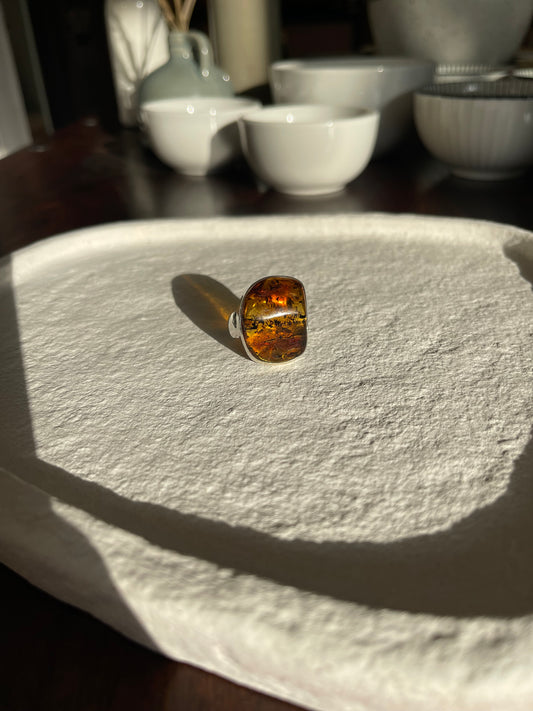 Bernstein - der Stein der Sonne