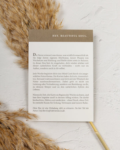 Kraft der Natur Geschenk Box