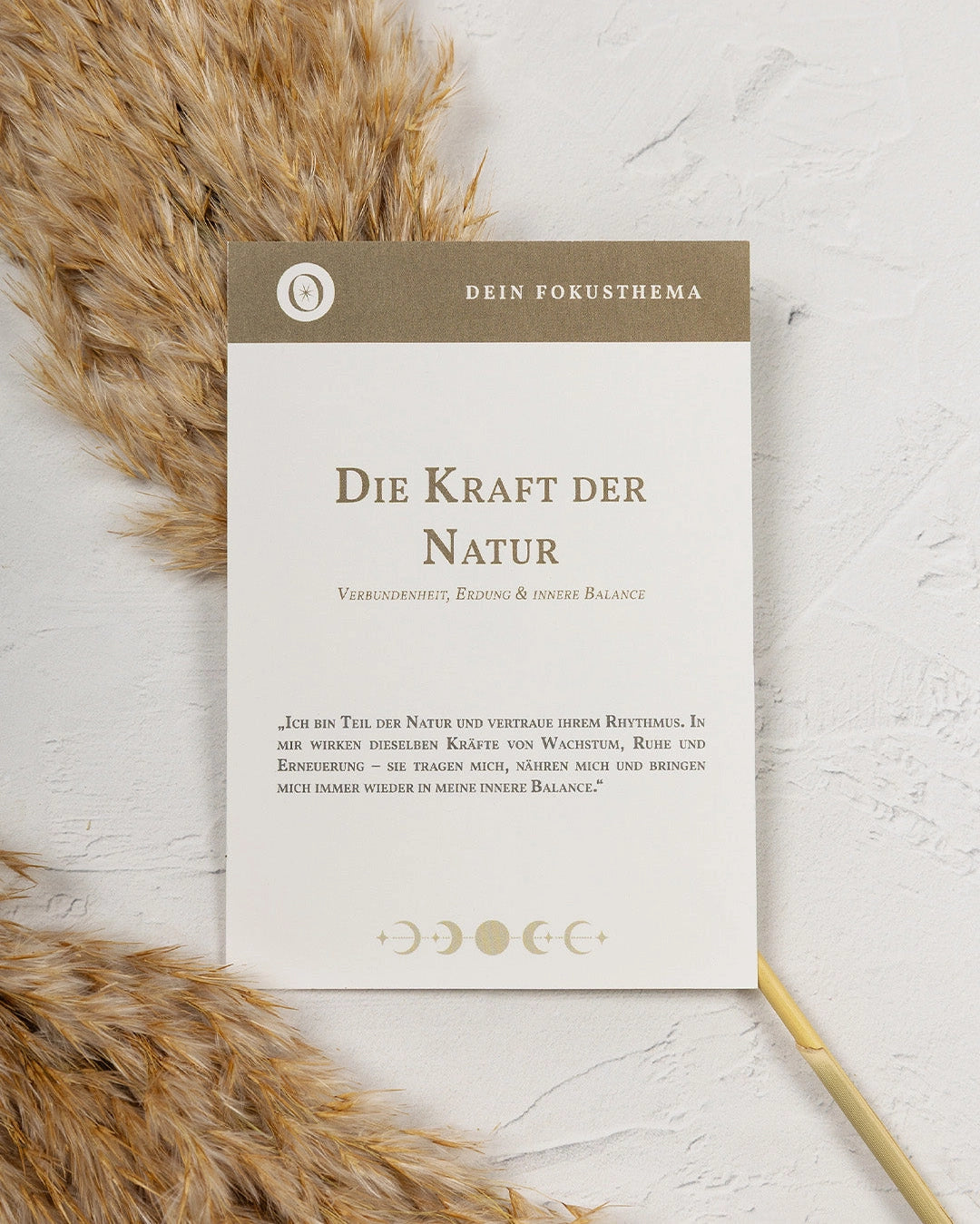 Kraft der Natur Geschenk Box